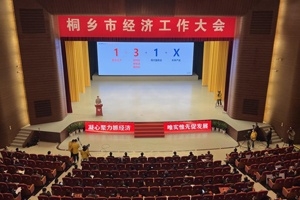 【菊乡快评】经济工作大会上，桐乡市委书记为何重点讲巨石的电子布？